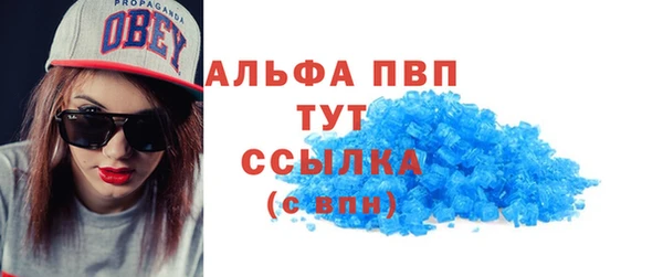 бошки Тайга