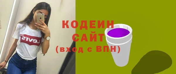 амф Горняк