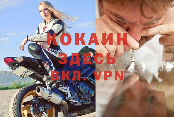 амф Горняк