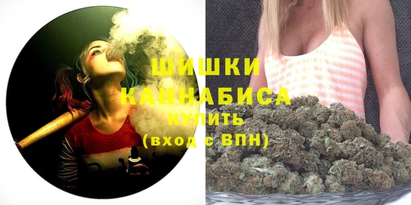 амф Горняк