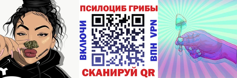 продажа наркотиков  Нязепетровск  Галлюциногенные грибы GOLDEN TEACHER 