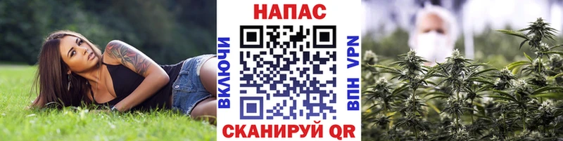 кракен как войти  Нязепетровск  Марихуана конопля 